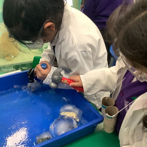 Investigating ice and snow!