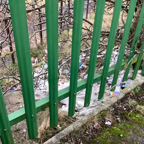 Comparing the Arctic to our local environment.  What is the same and what is different?