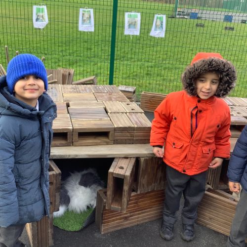 Creating Animal Homes