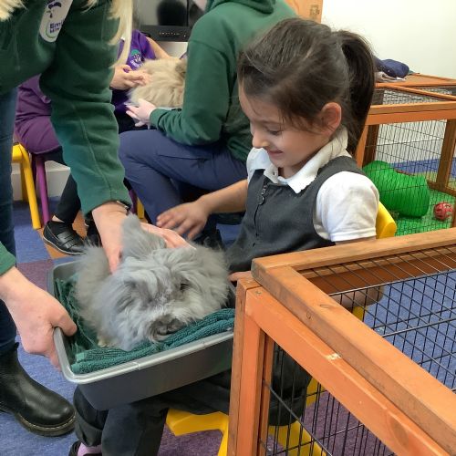 We got to meet and touch the farm/pet animals!