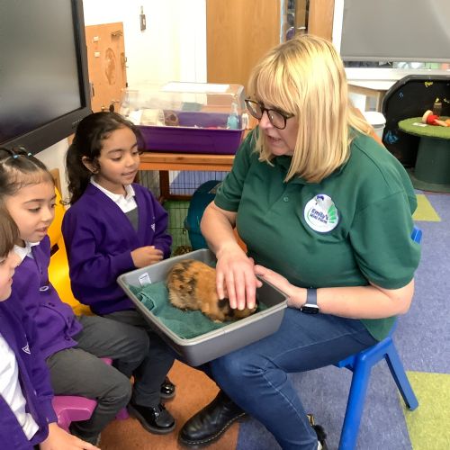 Emily's Petting Farm Visit