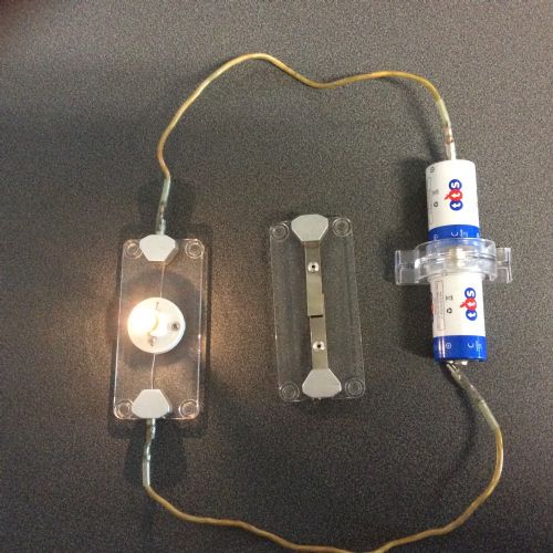 Science-Spring 2
