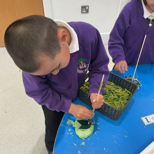Summer 1 - If You Go Down to the Woods indoor learning