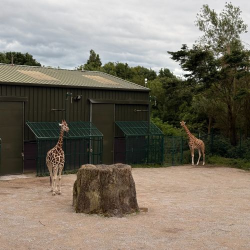 Our Zoo Trip!