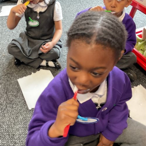Woodland Adventure, Funky Fingers, Sorting in Magic Maths and P.E.
