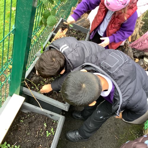 Autumn 1- planting bulbs...can't wait to see them grow in Spring!