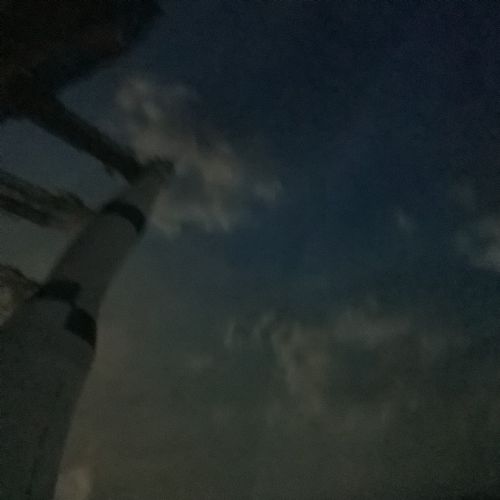 IMG3291