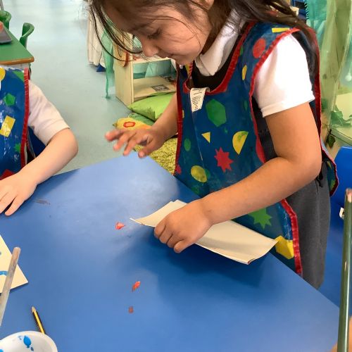 Butterflies!