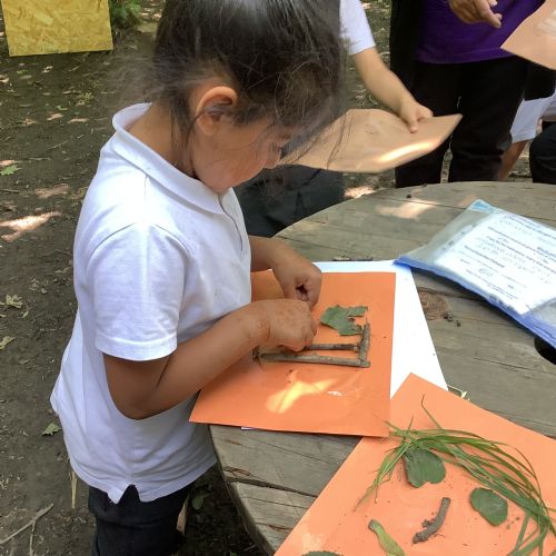 We made our own designs using natural objects