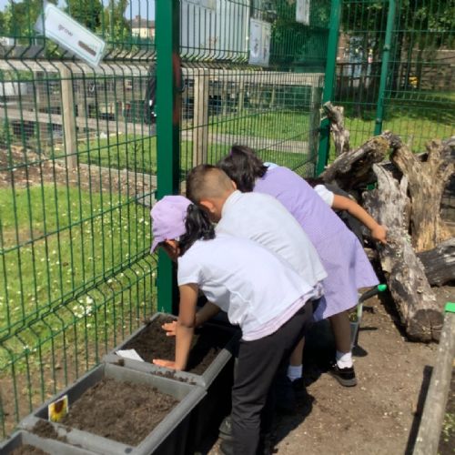 Planting time!