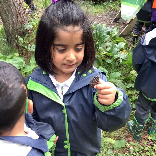 Autumn 1-We explored our woodland area and gathered natural materials!