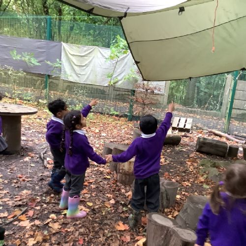 Our first woodland visit