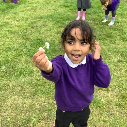Discovering nature - daisies, leaves, oak trees and so much more!