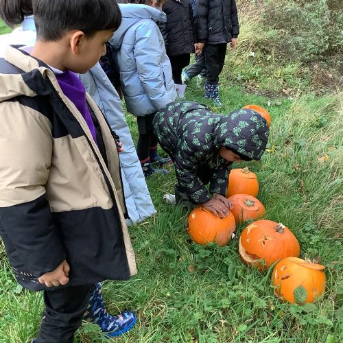 We went to the woodland area to find magic sticks to turn them into magic wands!!
