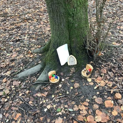 A mysterious fairy door appeared in our woodland area...