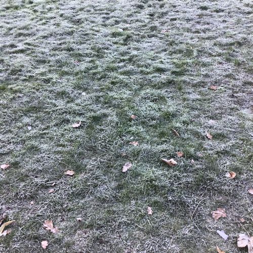 Investigating water droplets that have turned into ice!