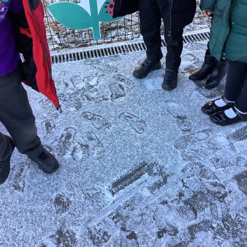 Off outside on a cold adventure!